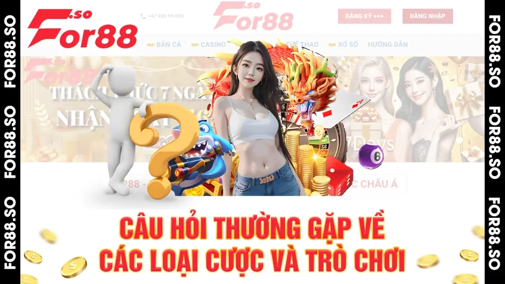 câu hỏi thường gặp 02